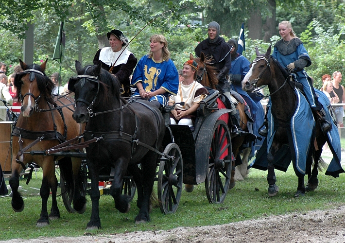 2005_0813 (49).JPG - Drottningen lämnar riddarspelet